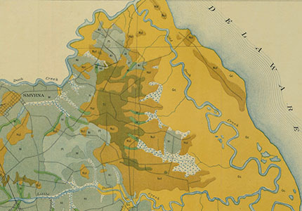 Map and Charts